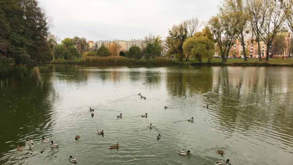 Csónakázó-tó és Szoborpark, Ajka