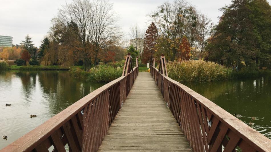 Csónakázó-tó és Szoborpark, Ajka