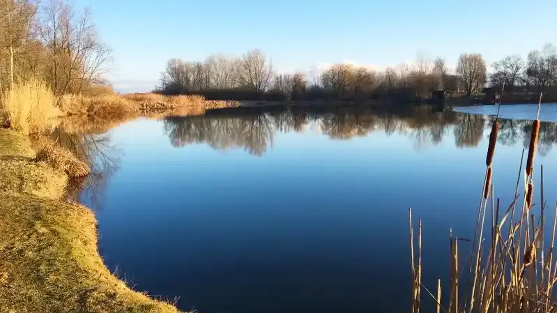 Kenderáztató-tó, Apagy