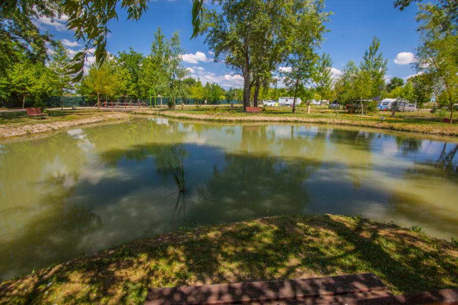 Aqua Land Termálfürdő szállásai, Ráckeve