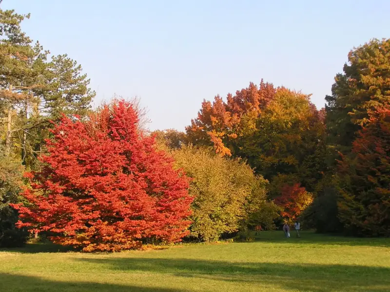 Szarvasi Arborétum (Pepi-kert), Szarvas