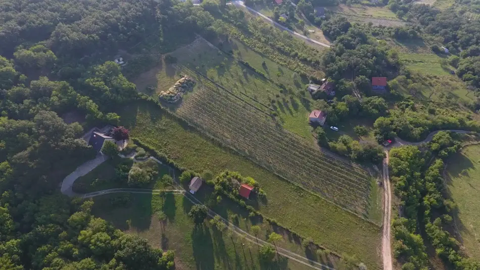 Száka-hegy, Balatonfüred