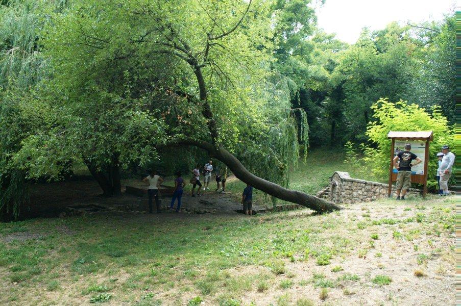 Római forrás, Balatongyörök