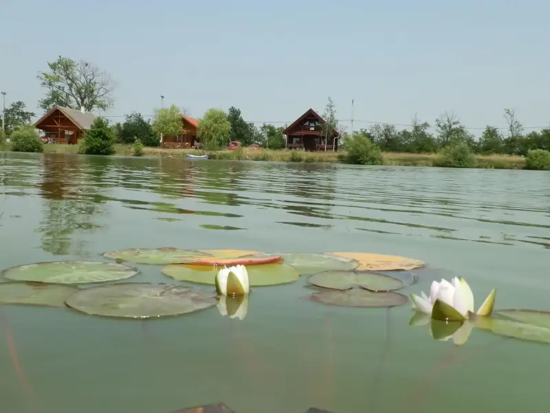 Berek Horgászpark, Hövej