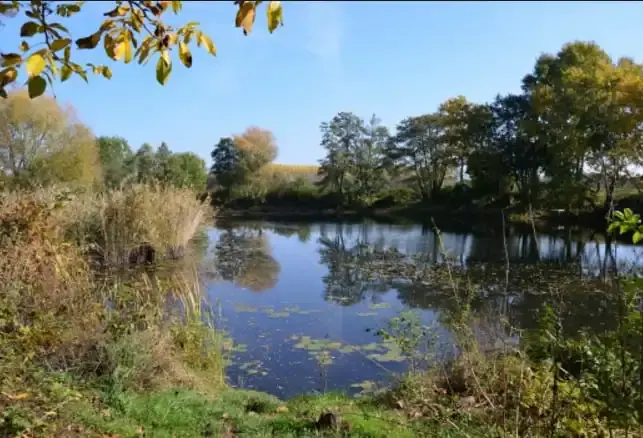 Fábián-tó, Bodonhely