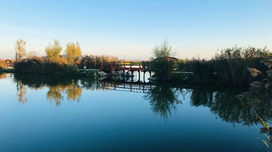 Fertőzug Horgász és Szabadidőpark, Székesfehérvár