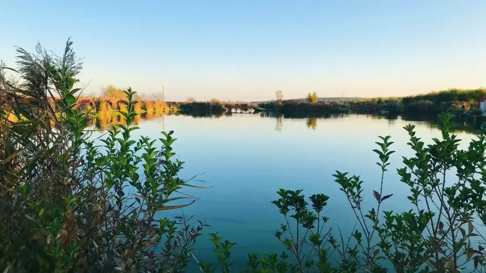 Fertőzug Horgász és Szabadidőpark, Székesfehérvár