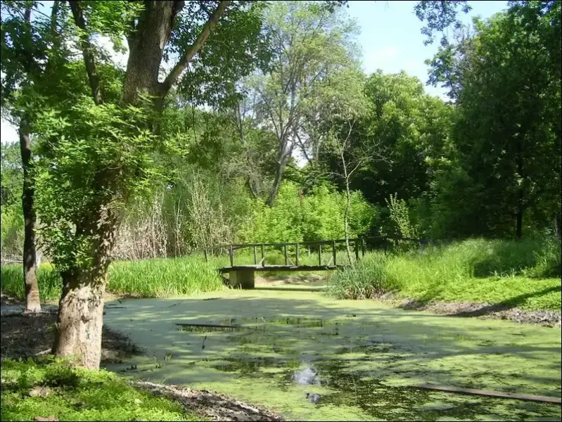 Kastélypark, Borsodivánka