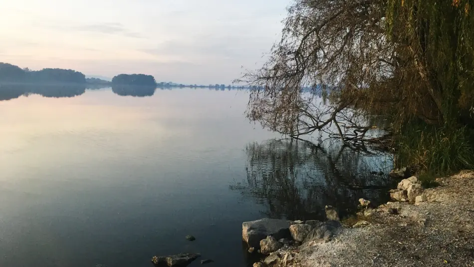 Búbos vöcsök tanösvény, Balatonmagyaród