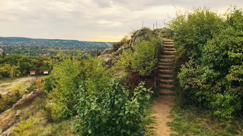 Naprózsa Botanikai Tanösvény, Budaörs