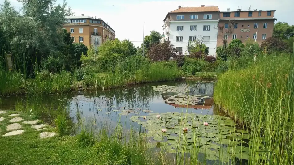 Budai Arborétum, Budapest