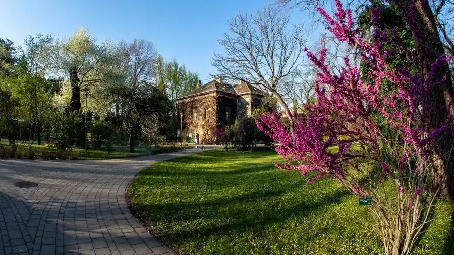 ELTE Füvészkert, Budapest