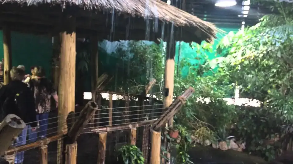 Tropicarium - A cápás állatkert, Budapest