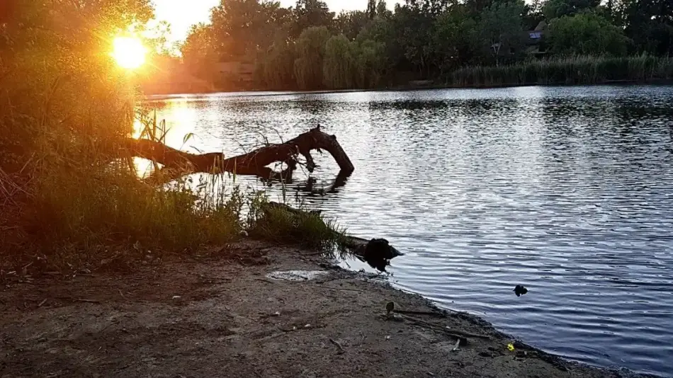 Holt-Tisza, Cibakháza