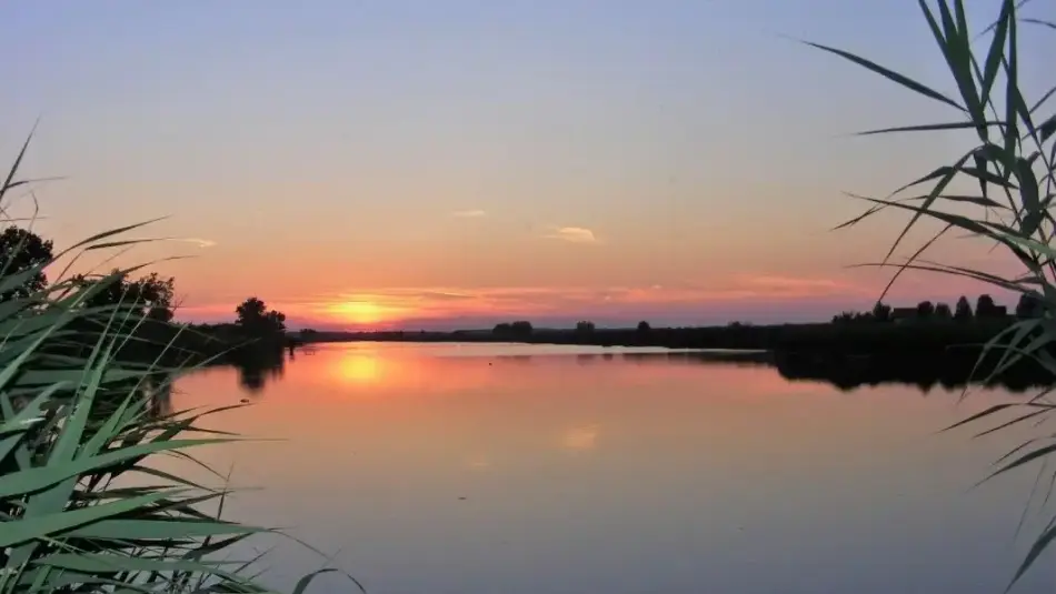 Holt-Tisza, Cibakháza