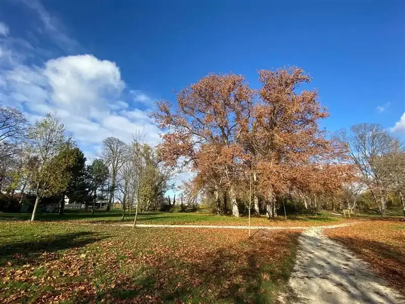 Várkert, Devecser