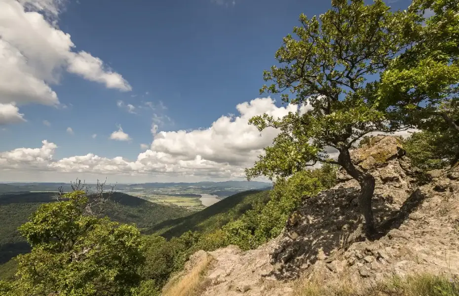 Vadálló-kövek, Dömös