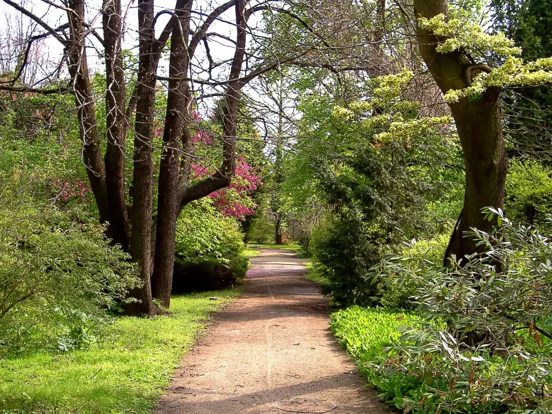 Erdőtelki arborétum, Erdőtelek