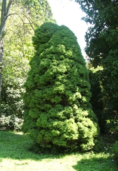 Erdőtelki arborétum, Erdőtelek