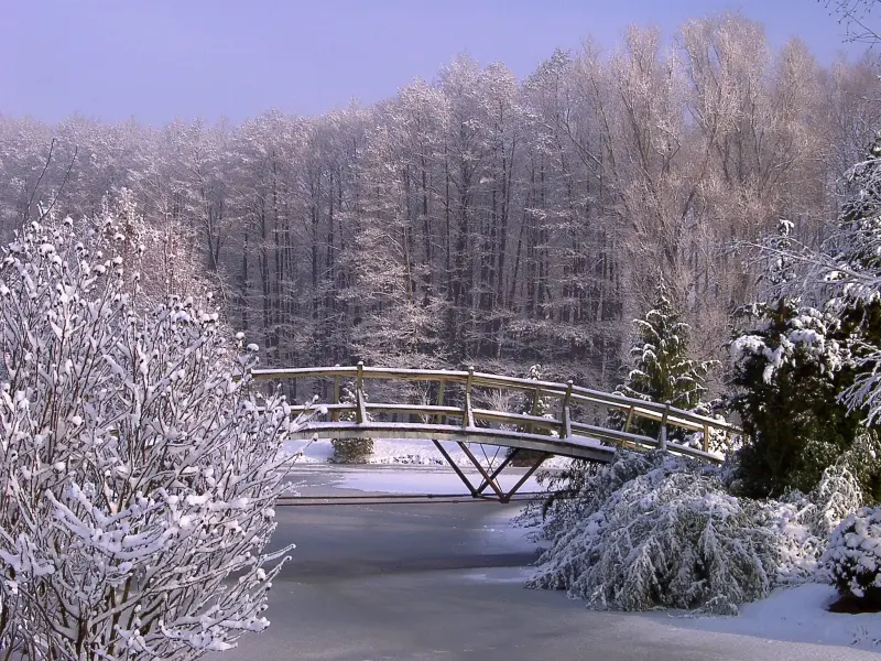 Erdőtelki arborétum, Erdőtelek