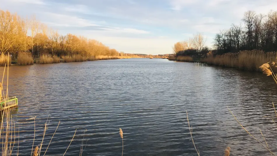 Botpusztai-tó, Etyek