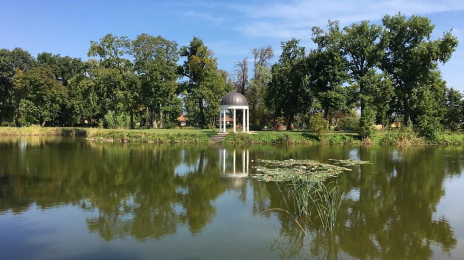 Károlyi kastély parkja, Fehérvárcsurgó