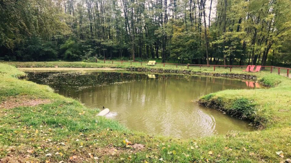 Magántulajdonú Állat- és Szabadidőpark, Felsőlajos