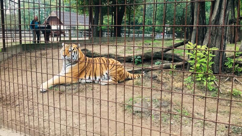 Magántulajdonú Állat- és Szabadidőpark, Felsőlajos