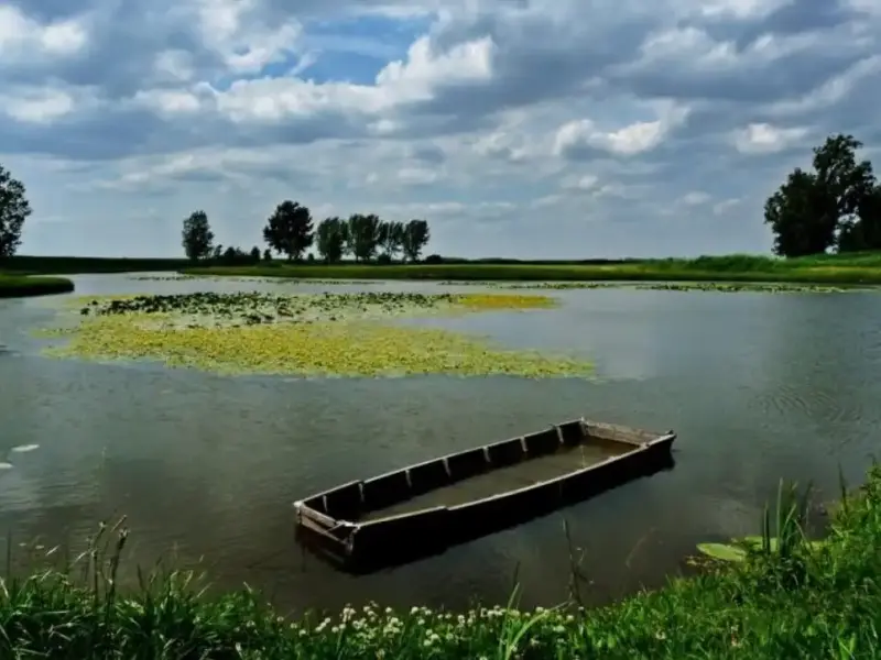 Kobolya-tó, Géderlak