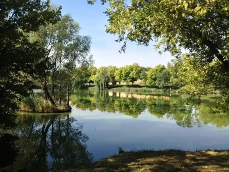 Zoltán és Diana Horgásztó és Pihenőpark, Alcsútdoboz