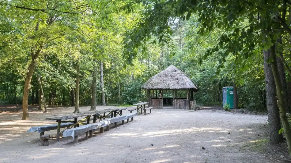 Gödöllői Erdészeti Arborétum, Gödöllő