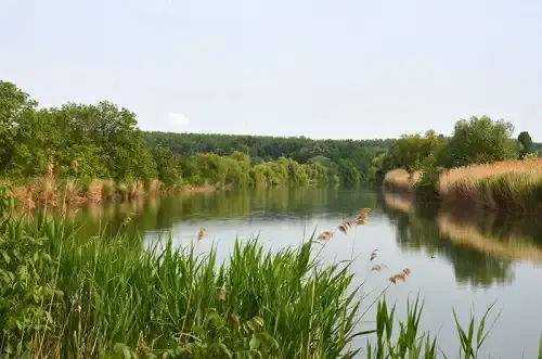 Félhalmi-holtág (Biristyók), Gyomaendrőd