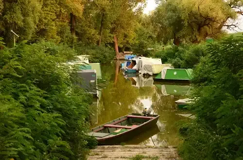 Félhalmi-holtág (Biristyók), Gyomaendrőd