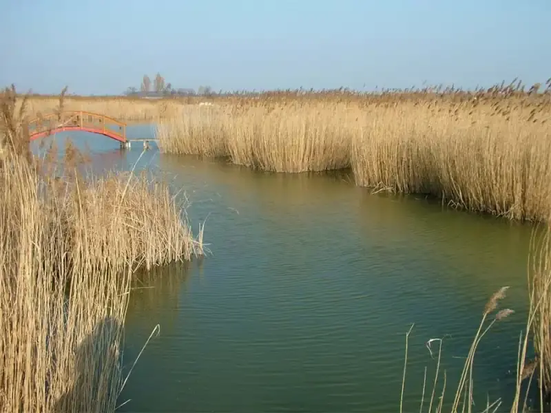 Nádaspart Horgásztó, Hajdúszoboszló