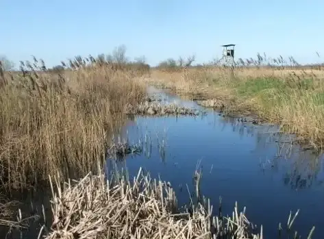 Harka-tó tanösvény, Harkakötöny