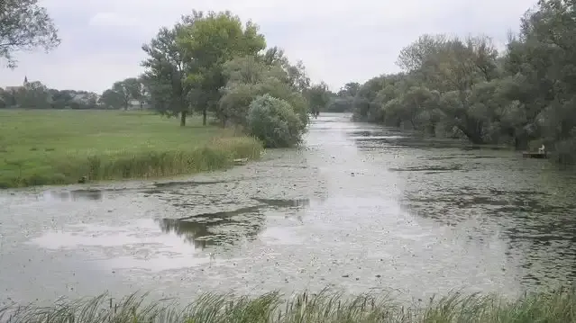 Holt-Marcal, Győr