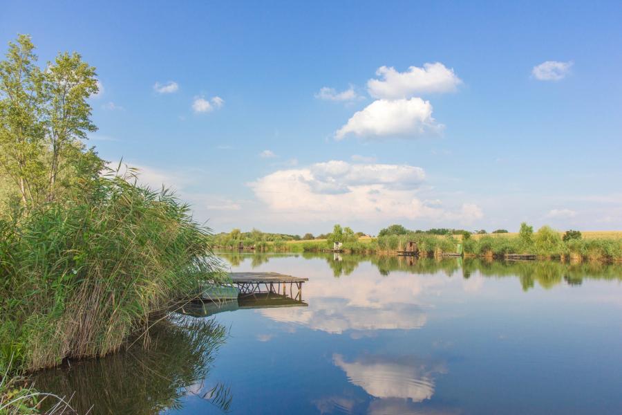 Holt-Tisza Vendégház, Szeged