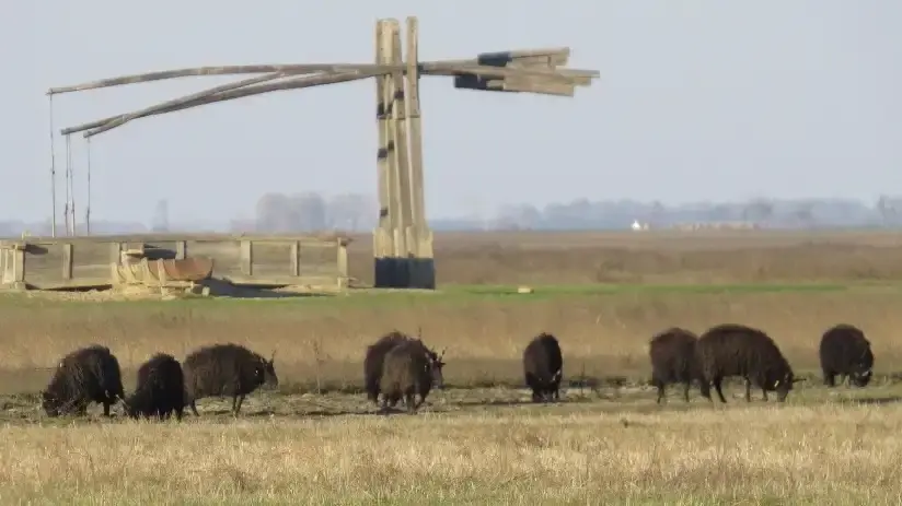 Hortobágyi Nemzeti Park, Hortobágy