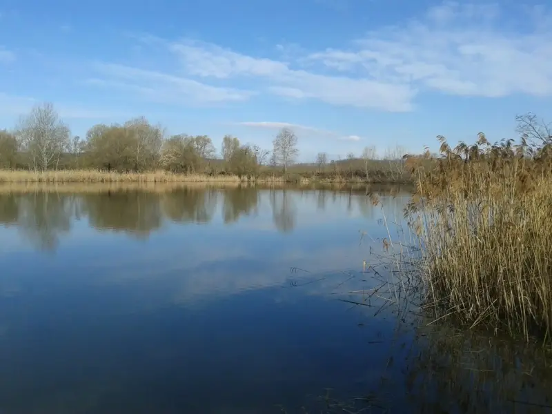 Park Horgásztó, Isaszeg