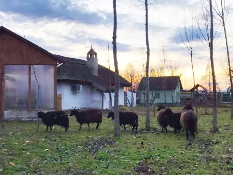 Skanzen, Jánoshalma