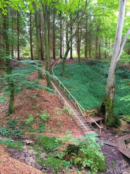 Jeli Varázskert - Jeli Arborétum, Kám