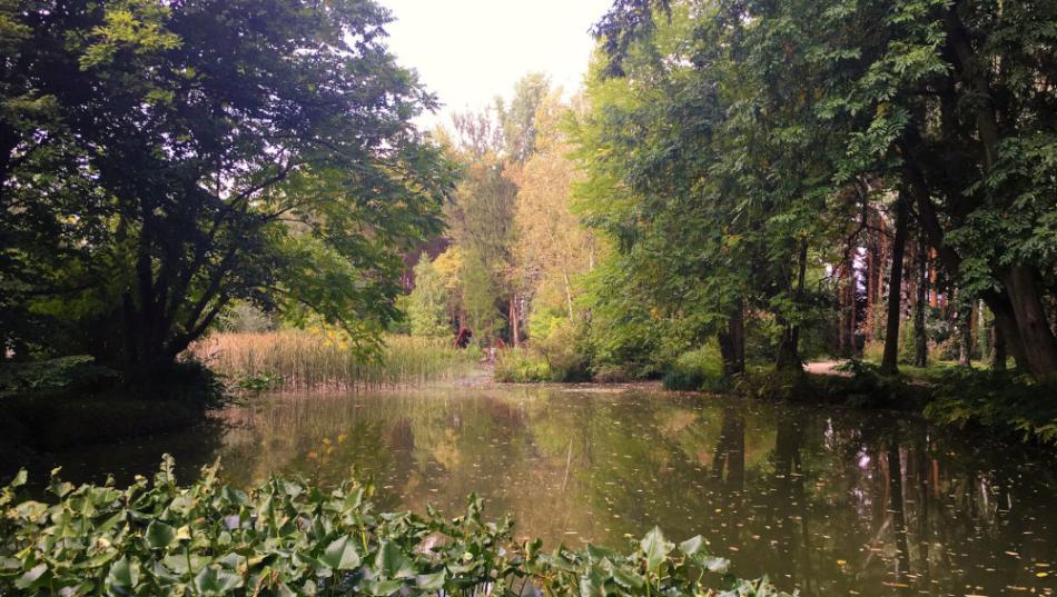 Kámoni Arborétum, Szombathely