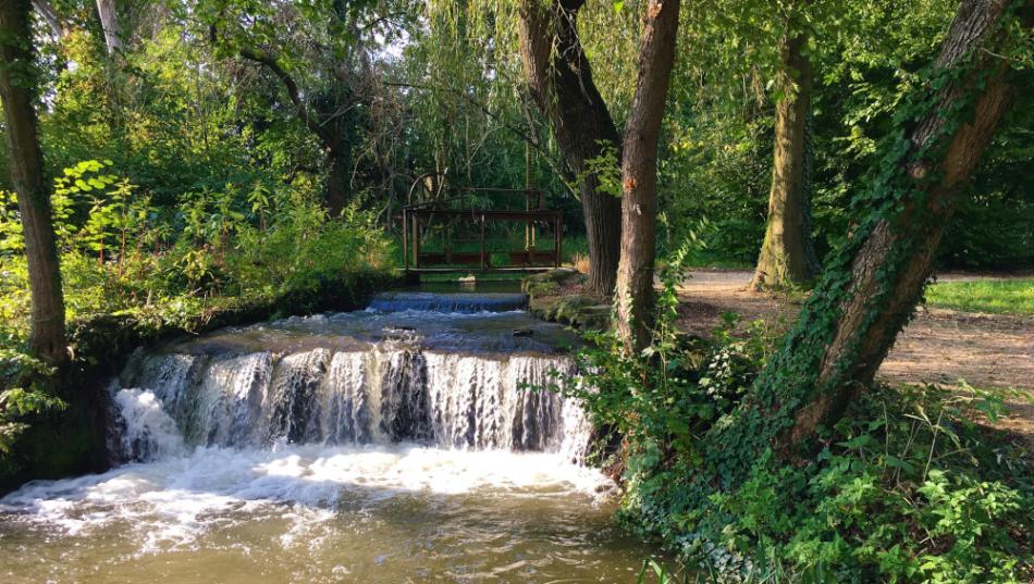 Kámoni Arborétum, Szombathely