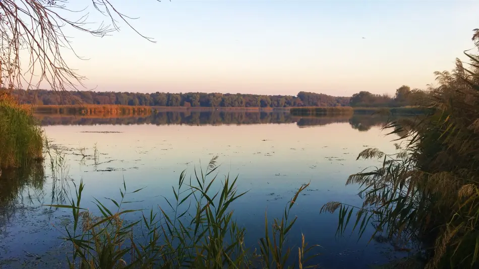 Kányavári-sziget, Balatonmagyaród