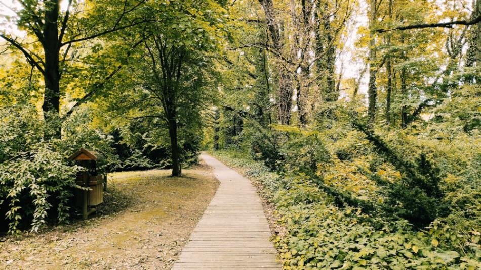 Desedai Parkerdő és Arborétum, Kaposvár