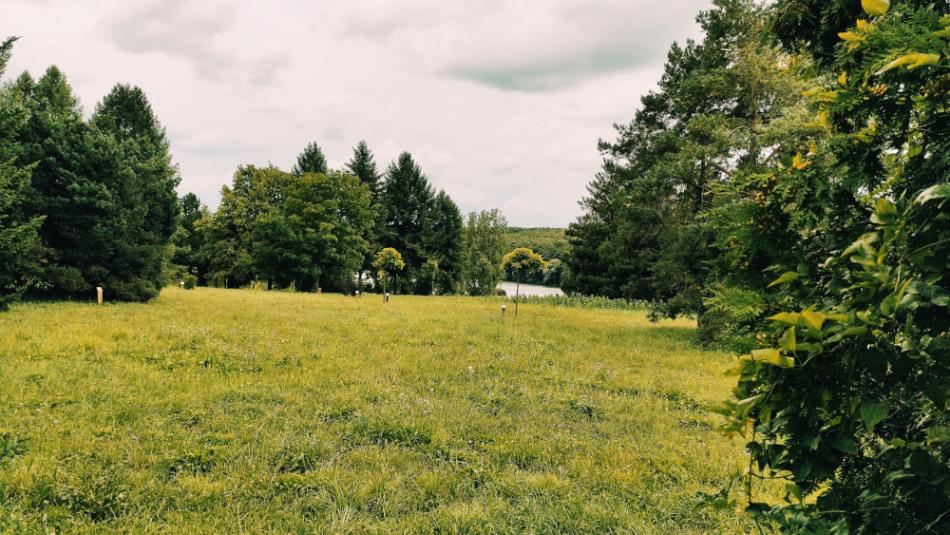 Desedai Parkerdő és Arborétum, Kaposvár