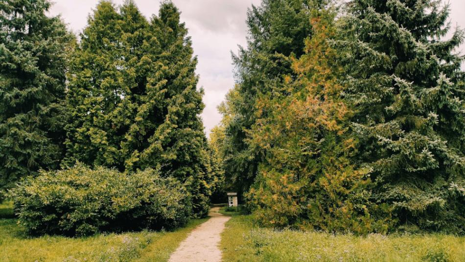 Desedai Parkerdő és Arborétum, Kaposvár