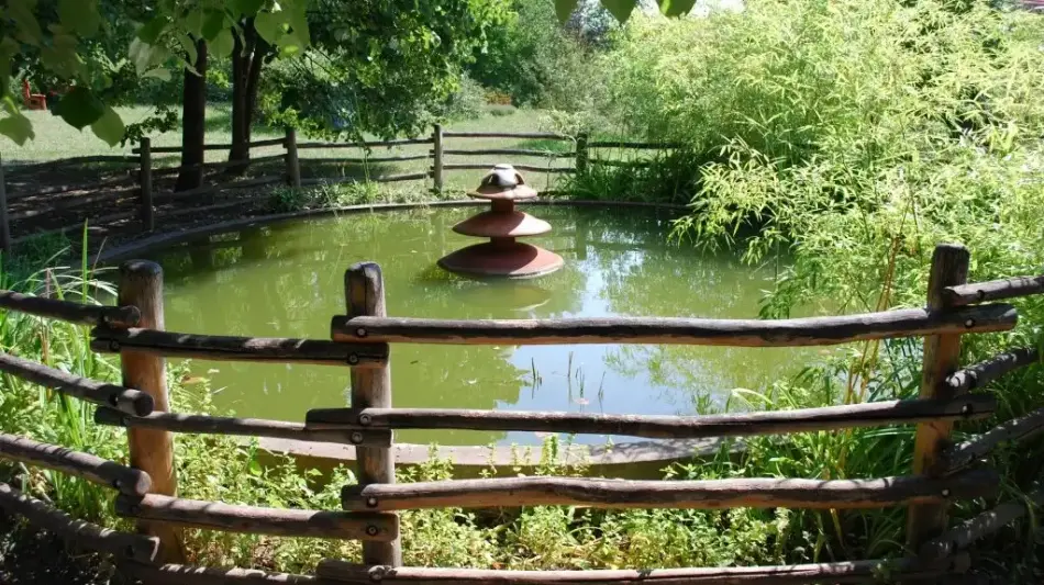 Kecskeméti Arborétum, Kecskemét