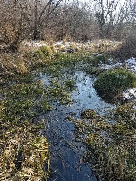 Forrásvölgy Tanösvény, Kerepes