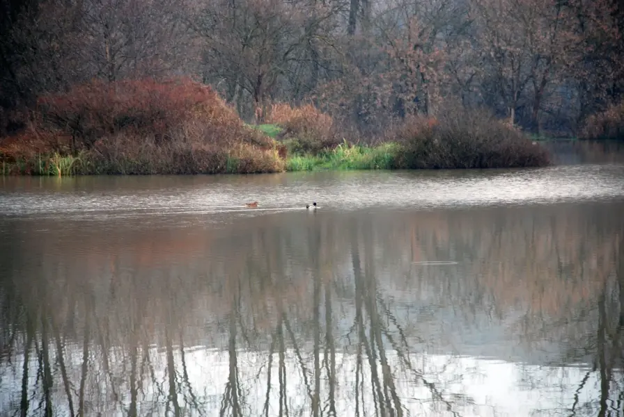 Bonyhádi-tőzegtavak, Bonyhád